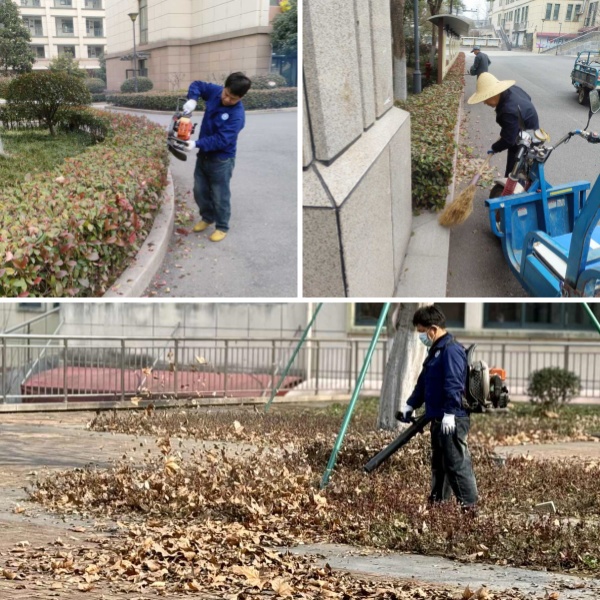 綠化.jpg 綠化.jpg