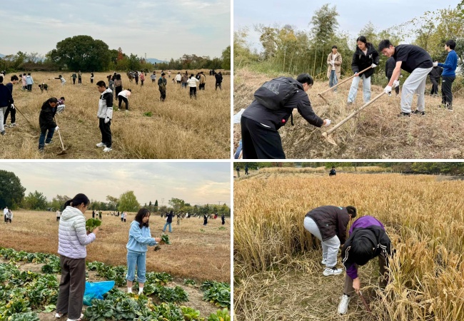 圖2 學生勞動.jpg